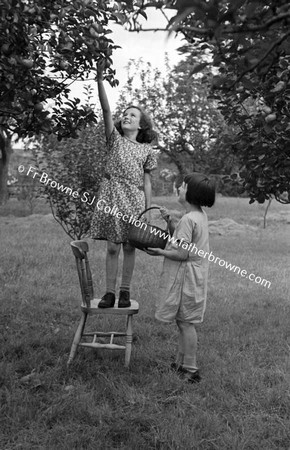 CHILDREN GATHERING APPLES  G S CONVENT